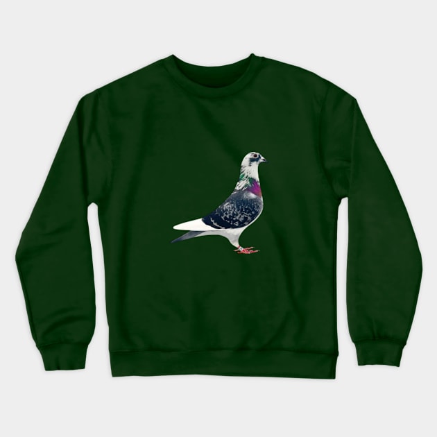 Top Pigeon Crewneck Sweatshirt by Duivensport 